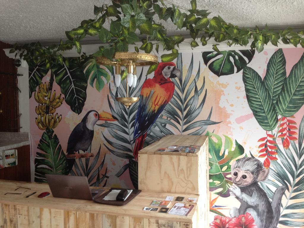Hostal Casa Paraiso Medellín Kültér fotó